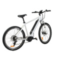 High quality 250W Bafang Max mid drive electric mountain bike electric bikes